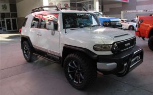 fj cruiser1.jpg